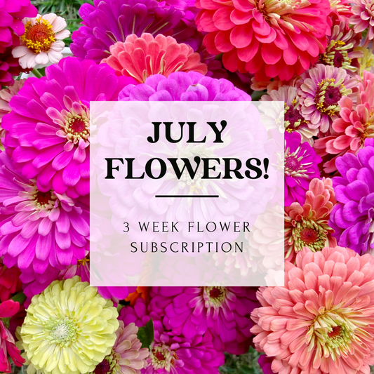 July Flower Subscription - 2024