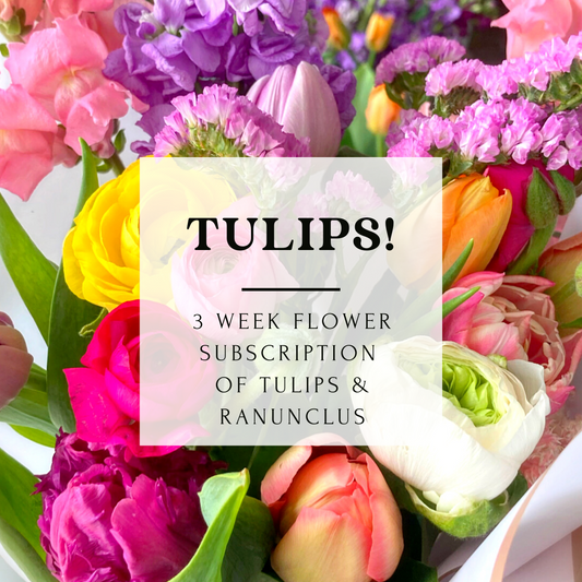 April Flower Subscription - 2024