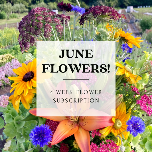 June Flower Subscription- 2024