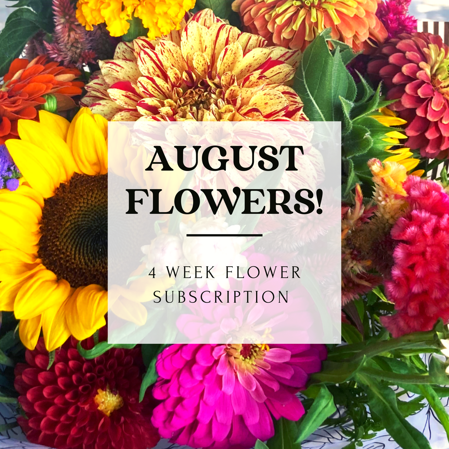 August Flower Subscription - 2024