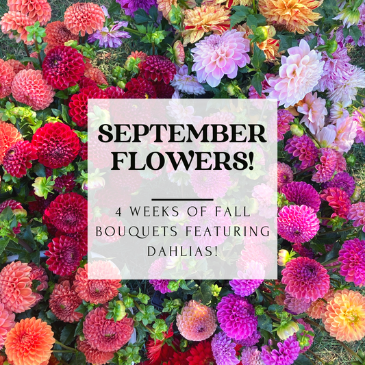 September Flower Subscription - 2024