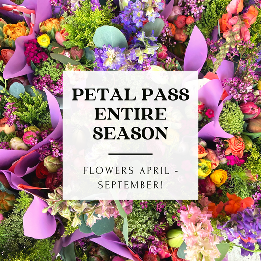 Petal Pass Entire Season Flower Subscription